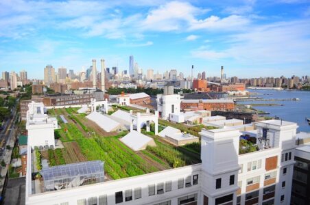 Yell It from the Roof-Top Farm! Brooklyn Grange Farm is Planting the Way Image